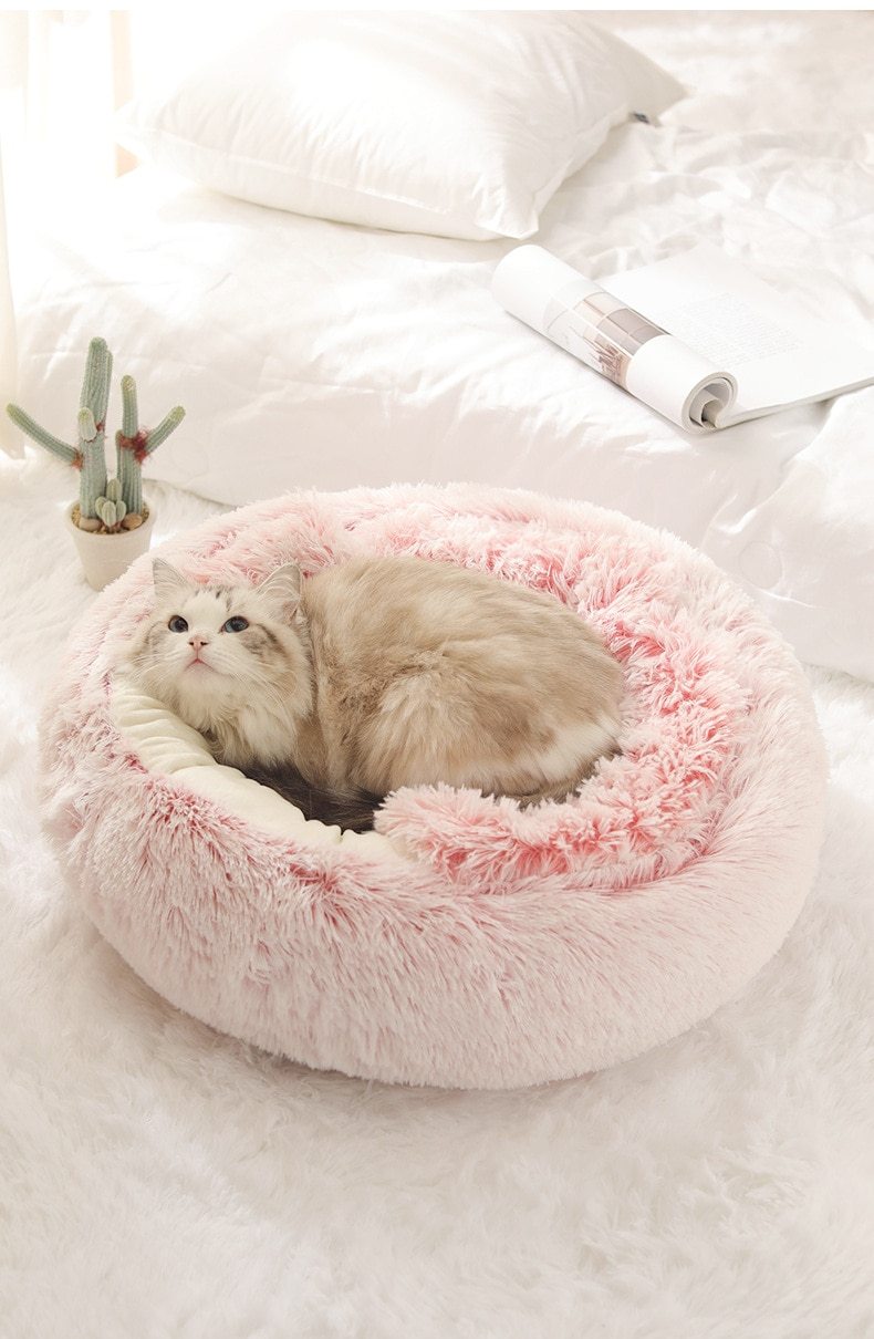 Cozy pet bed