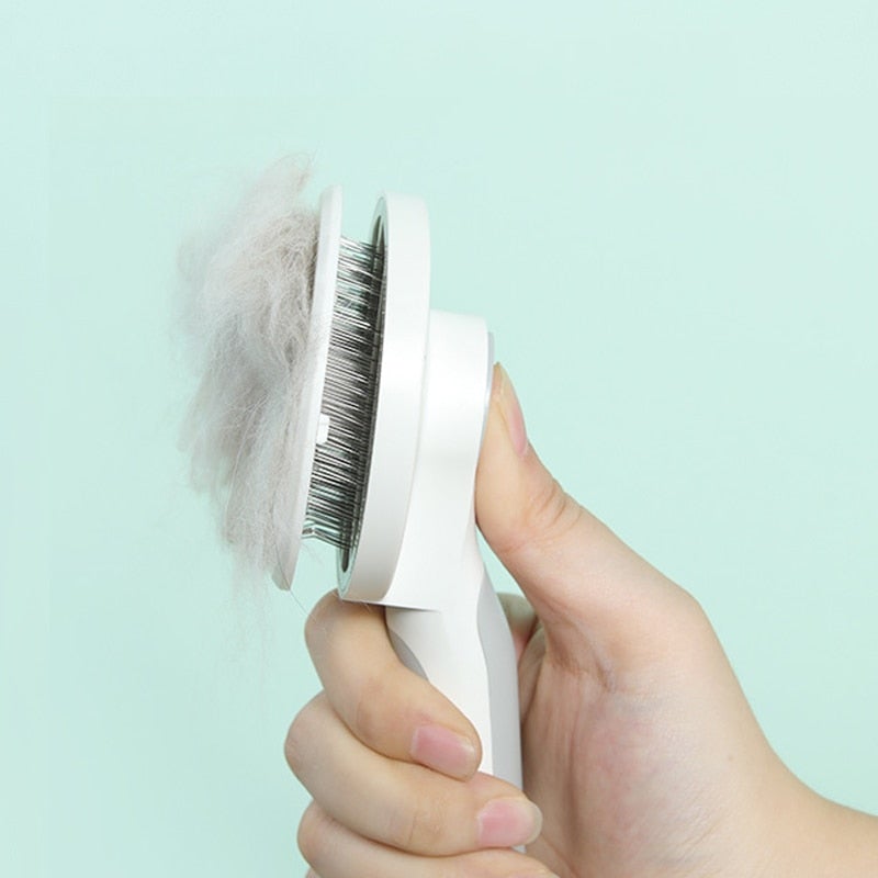 Brush Pet Comb